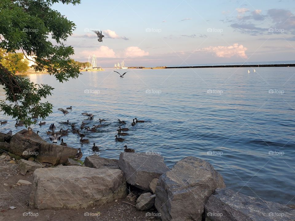 love this waterscape