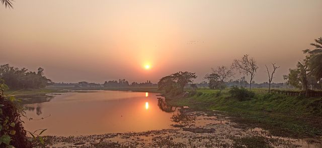 Sunset