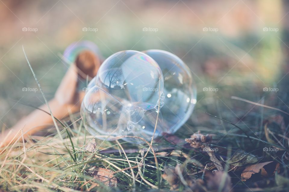 Soap bubbles on ground 