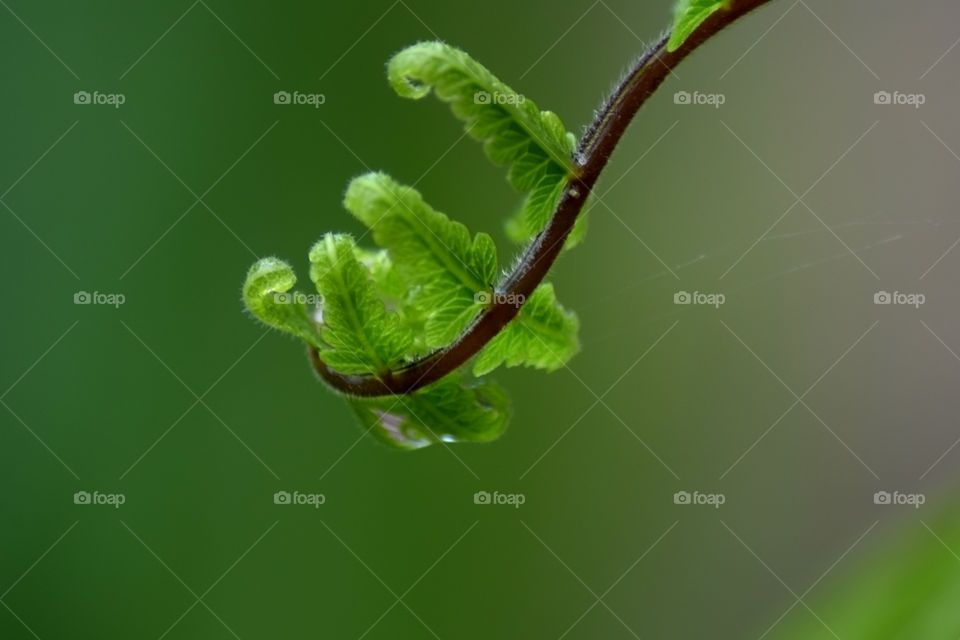 Prepare to grow again