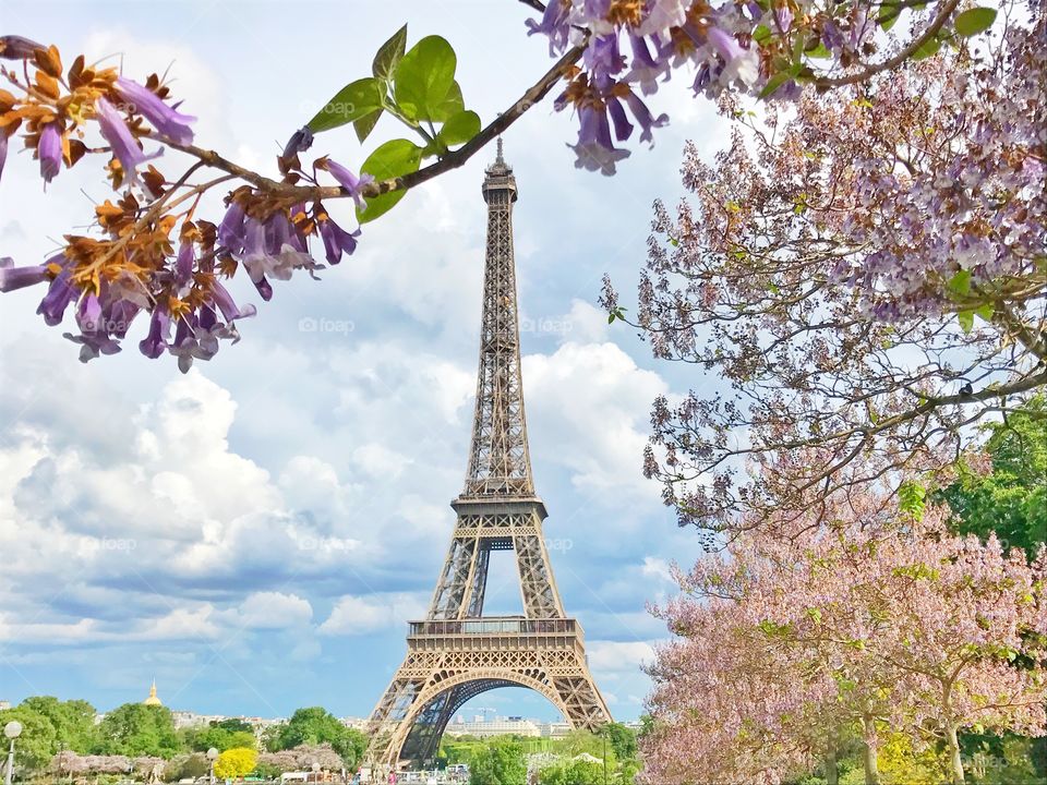 Eiffel Tower in Paris, France 