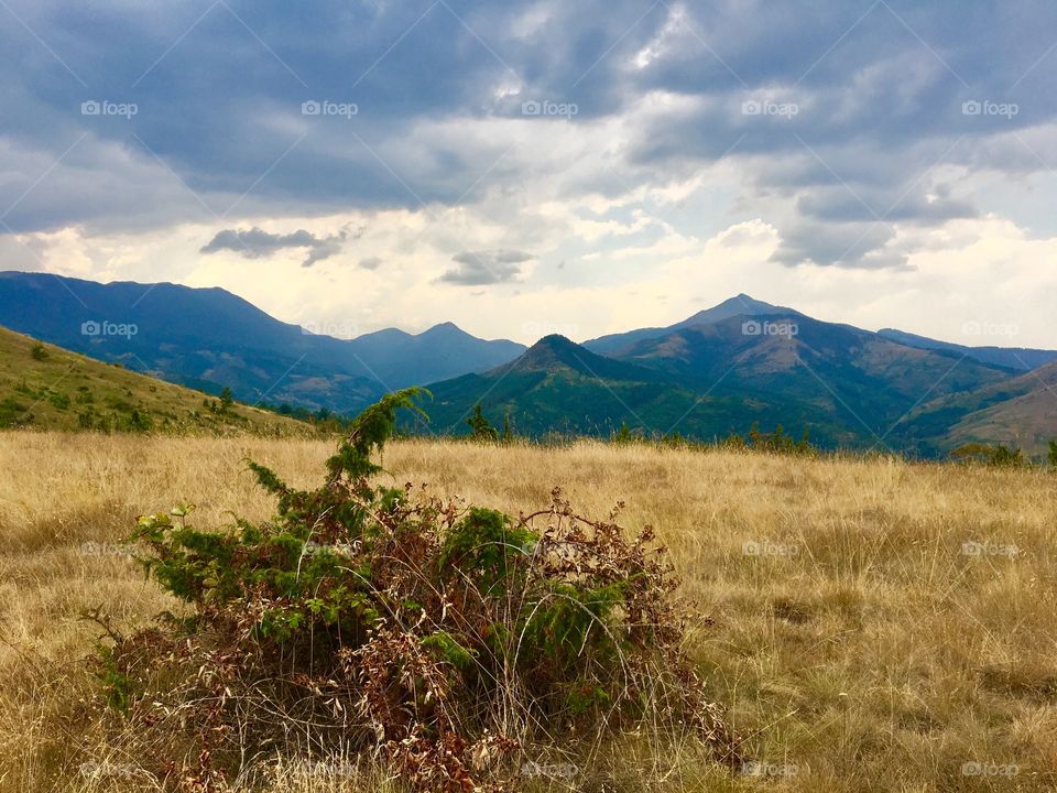 Make the Dreams follow YOU!!!