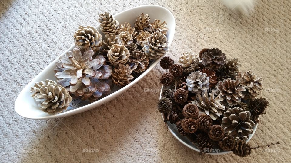 bleached ,pinecones, pinecone, autumn, autumnal, seasonal, English, October, November, September, bleach, bleaching, crafted, crafting, craft, crafts, natural, decorating, decorative, Dec's