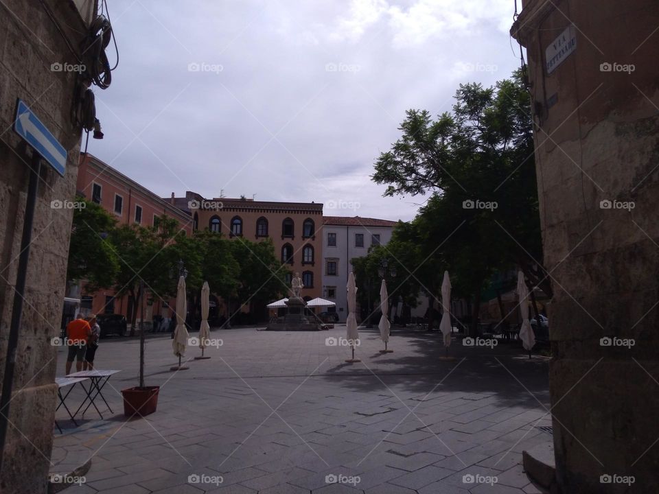 Editors' Choice - Photo of the Week