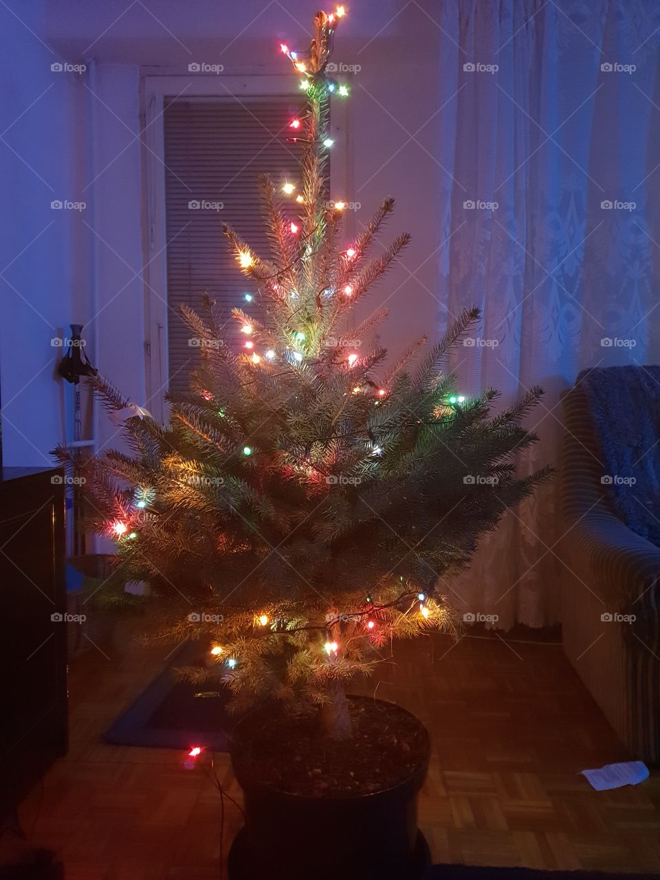 christmas tree