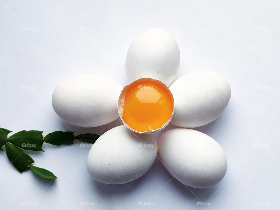 White colour. On a white background lie five white eggs in the shape of a flower. The core of a flower made from eggs is a yellow egg yolk in a white shell. Green branch of a cactus in the form of a stem