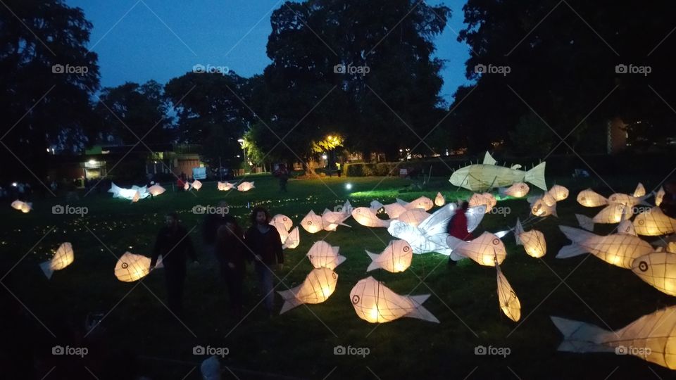 Fish lanterns on the grass