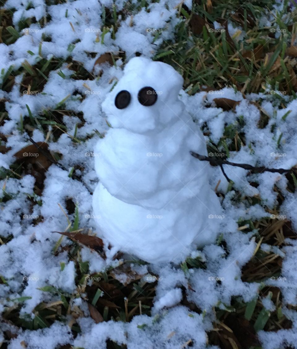 Texas snowman