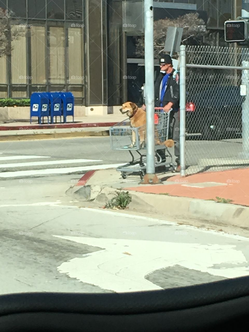 Weird city, weird people 