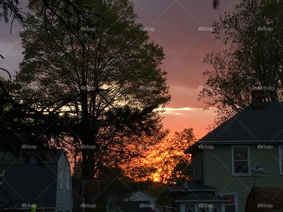 Sky Embers 