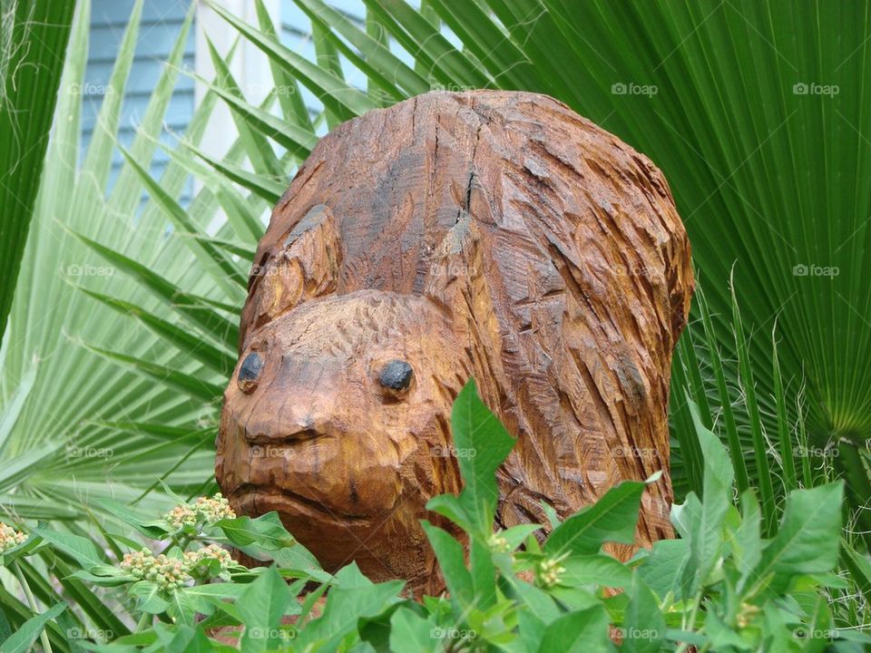 Squirrel Carving