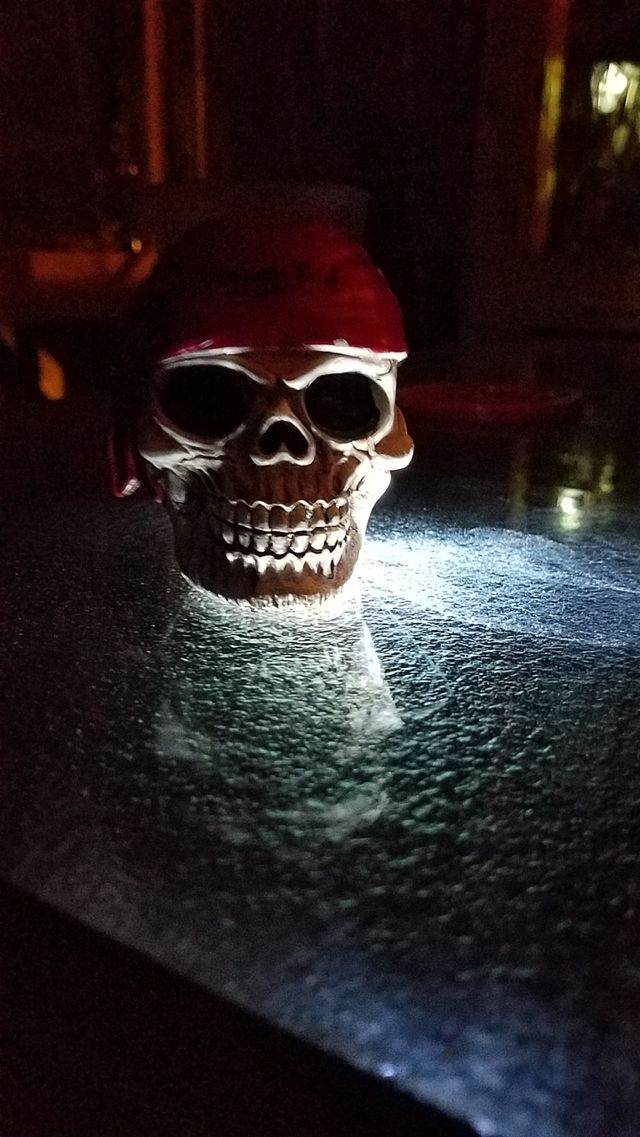 skull on the table