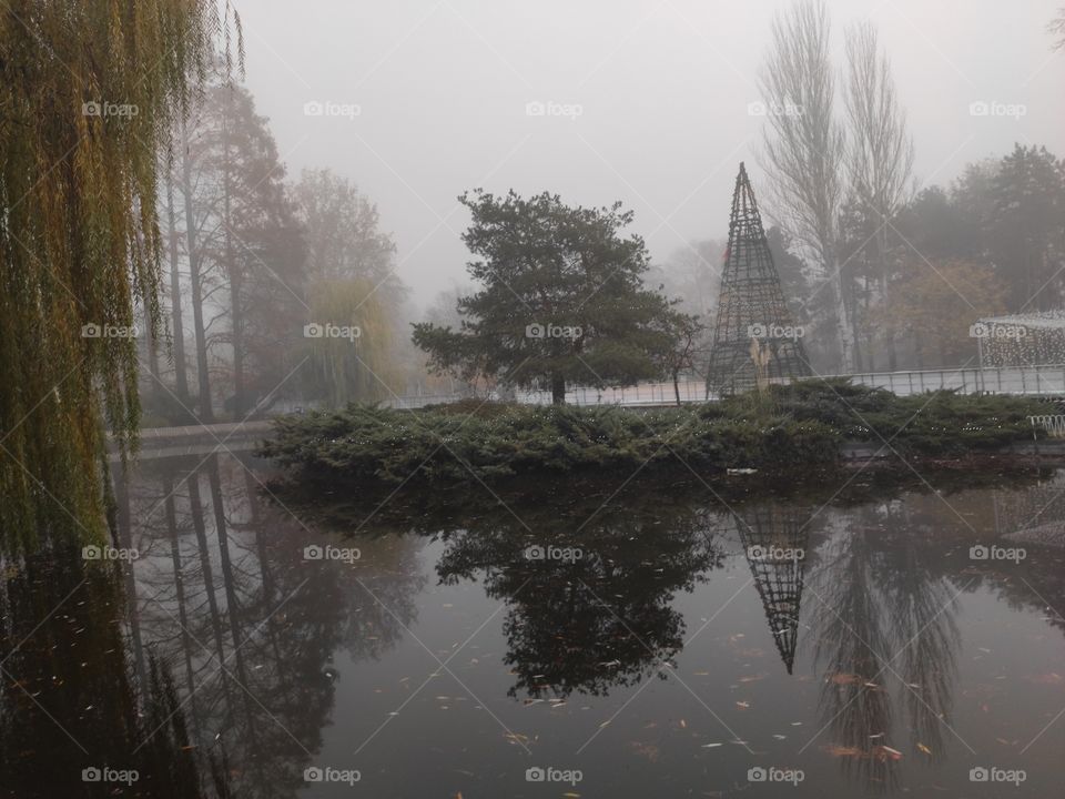 Novi Sad Serbia Danube park pond with reflection in winter