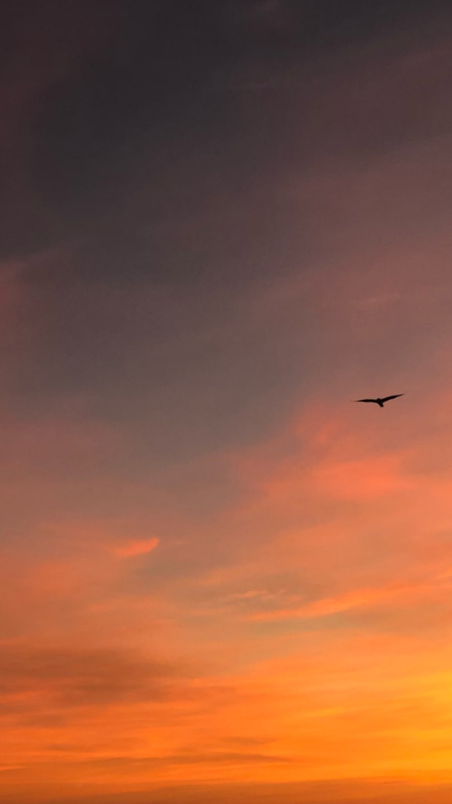 beautiful sunset