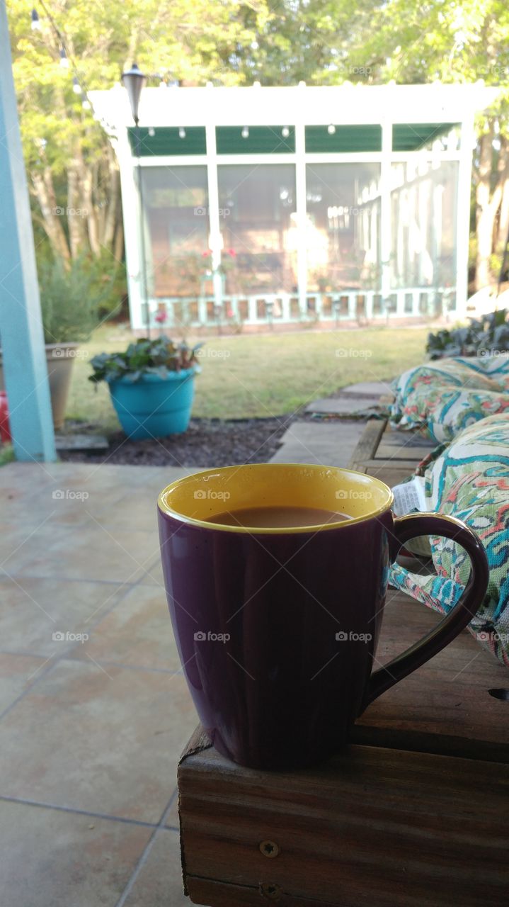 My Brew and my Backyard View