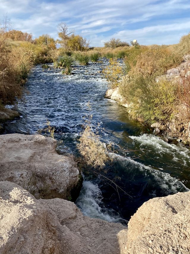 Backcountry creek 