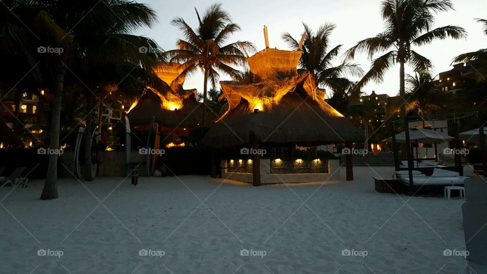 Resort, Beach, Palm, Vacation, Hotel