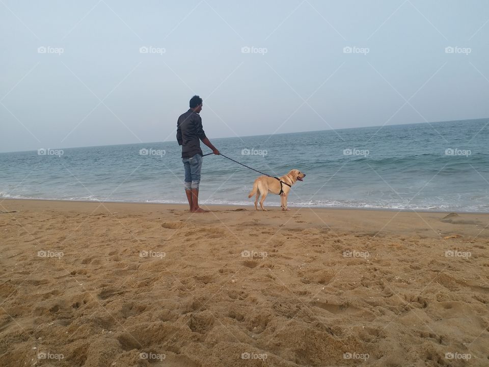 New year with my pet long walk