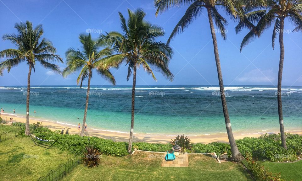 Seascape in Hawaii