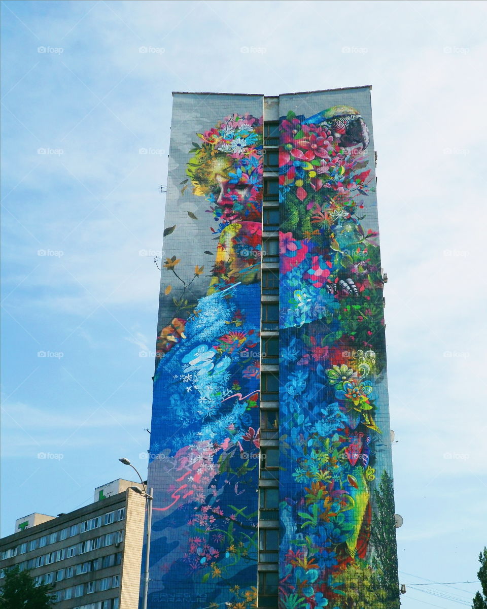 graffiti on a house in the city of Kiev, Ukraine