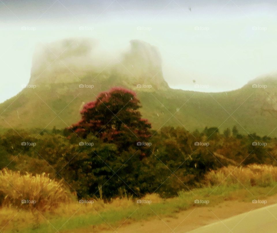 Chapada da Diamantina Bahia.Mission foggy mornings.