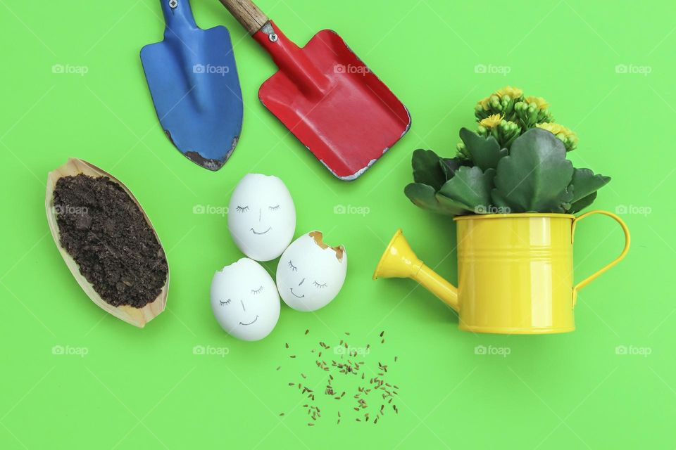 Yellow watering can with a flower, blue and red spatulas, a wooden boat with black soil and an eggshell with seeds on a green ion, flat lay close-up. The concept of planting flowers, ecology day.