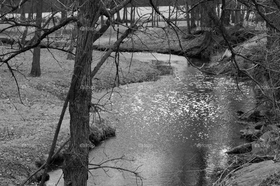 Sun reflected in water