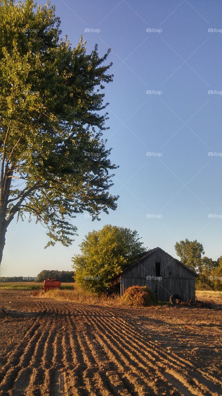 No Person, Tree, Landscape, Outdoors, Sky