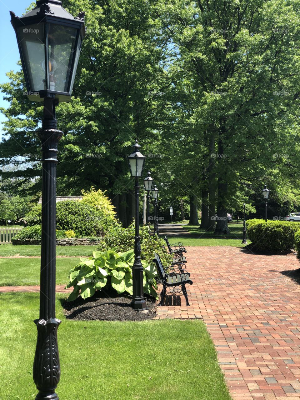 Brick path in a garden