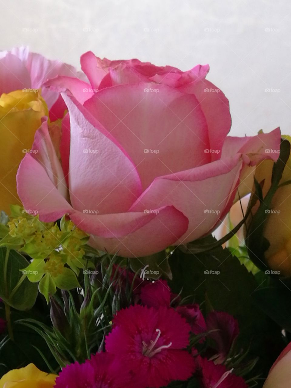 Bringing Outdoors Inside