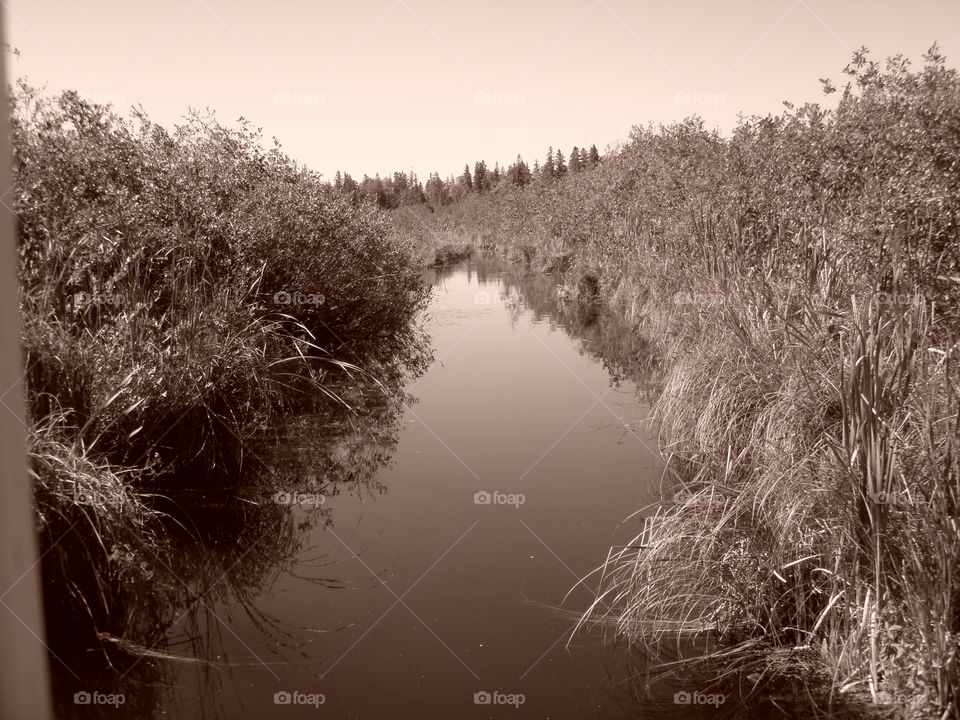 Landscape, Lake, Water, Reflection, Tree
