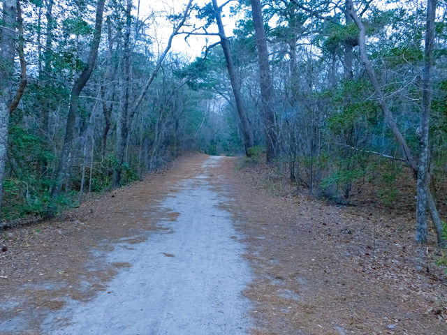Off the beaten path