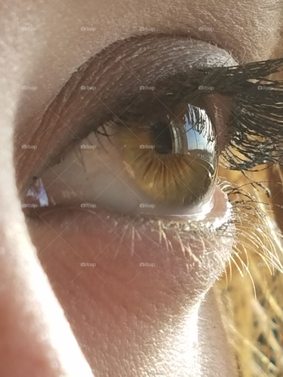 Amber Eye