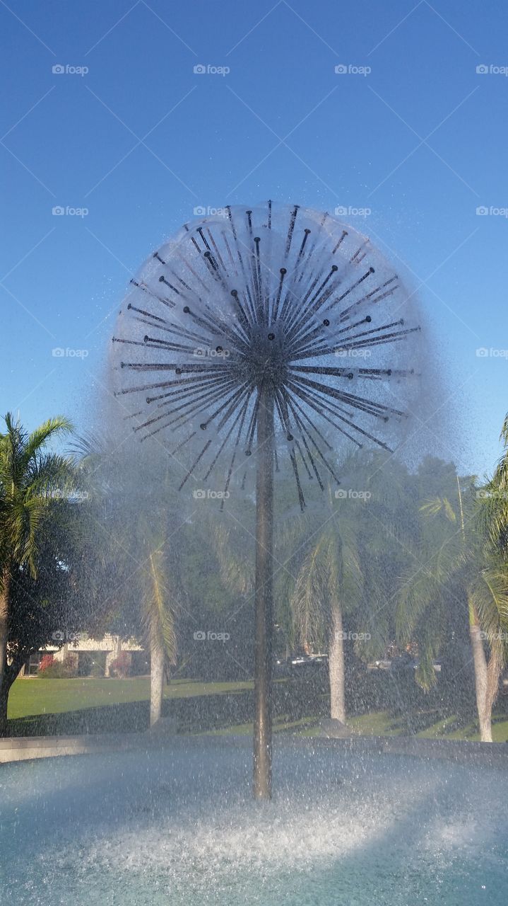 Dandelion fountain