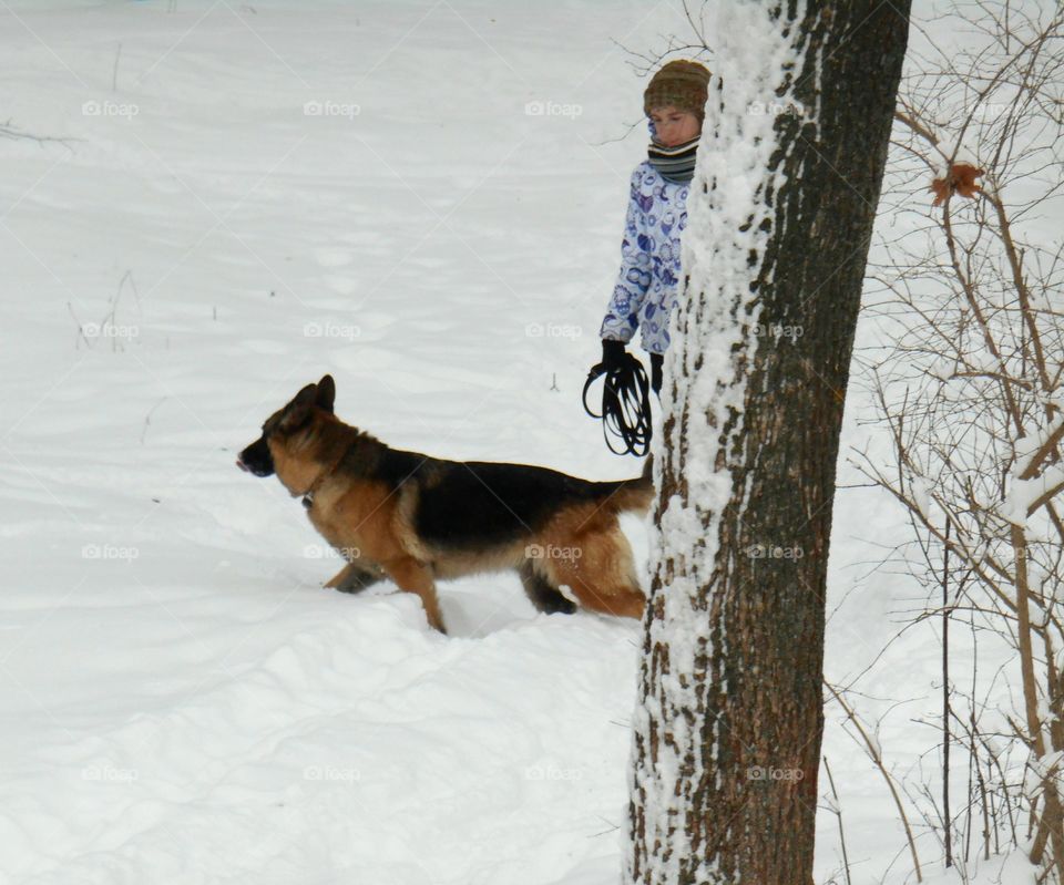 Dog, One, Winter, Snow, Mammal