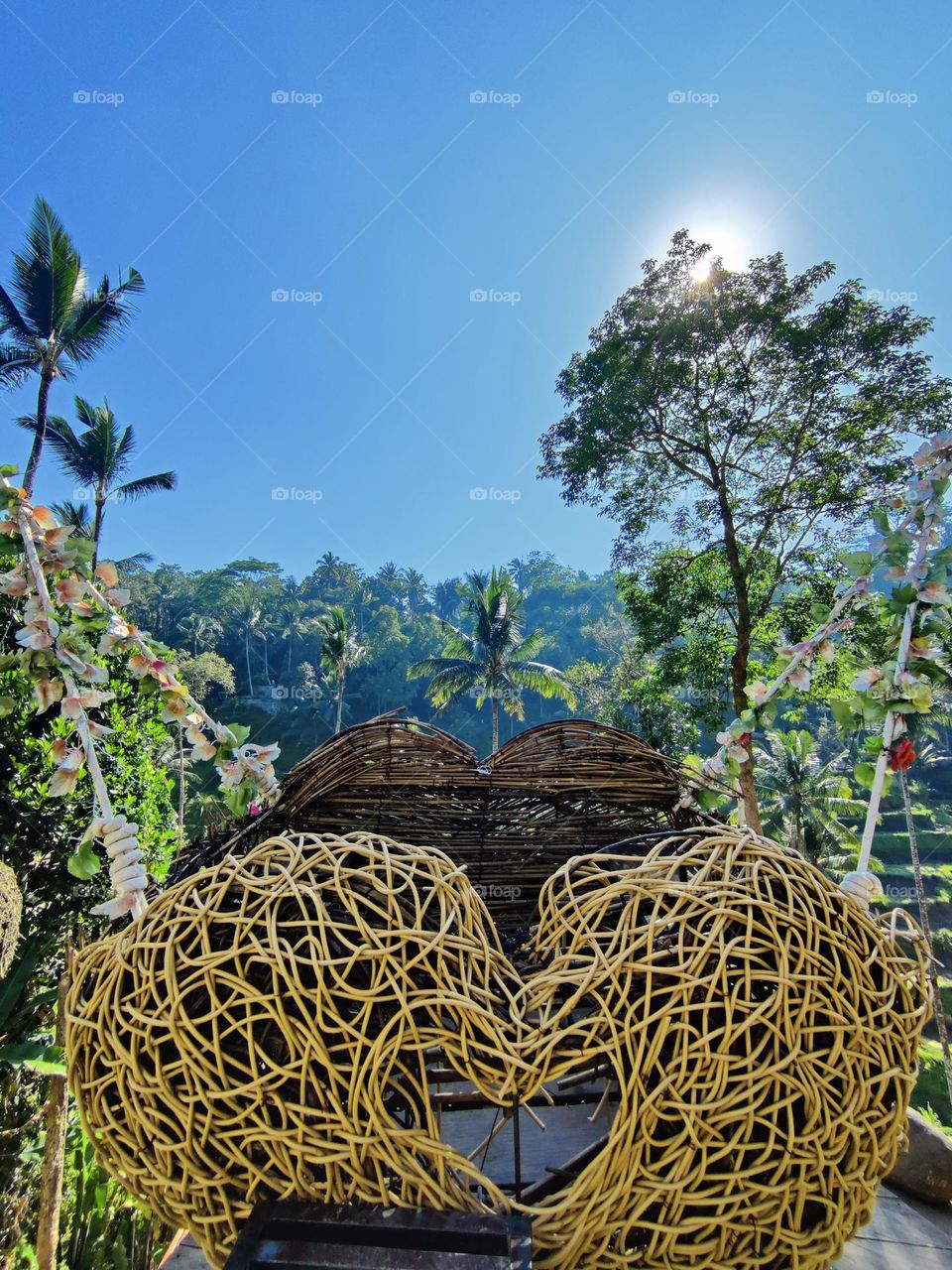 Rice terrace @ Uma Ceking