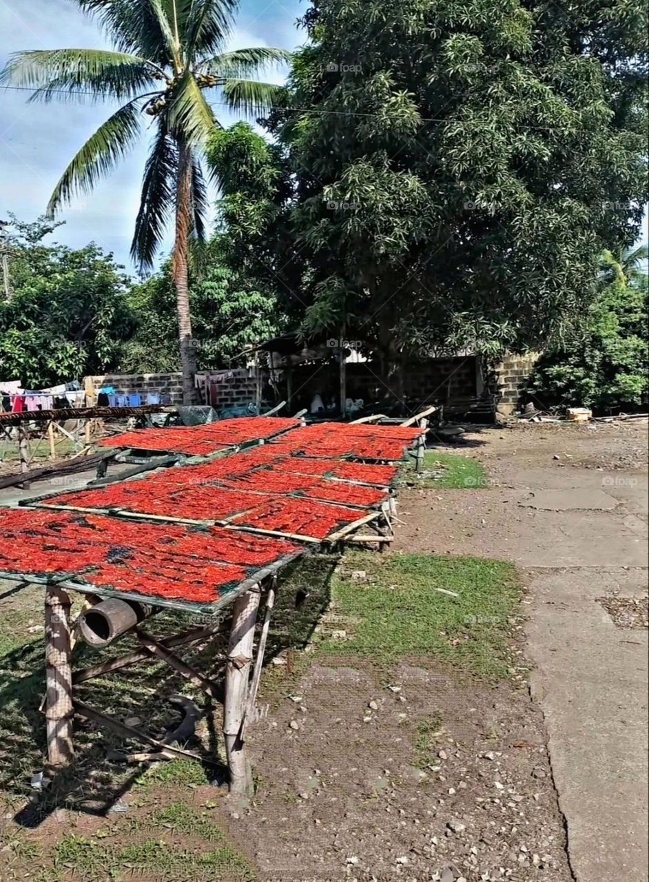 August 15th 2023,  A most beautiful and attractive view.