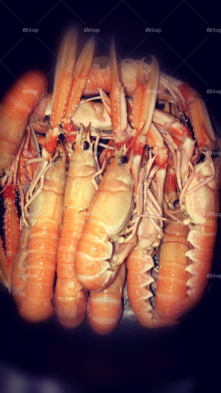 Scampi