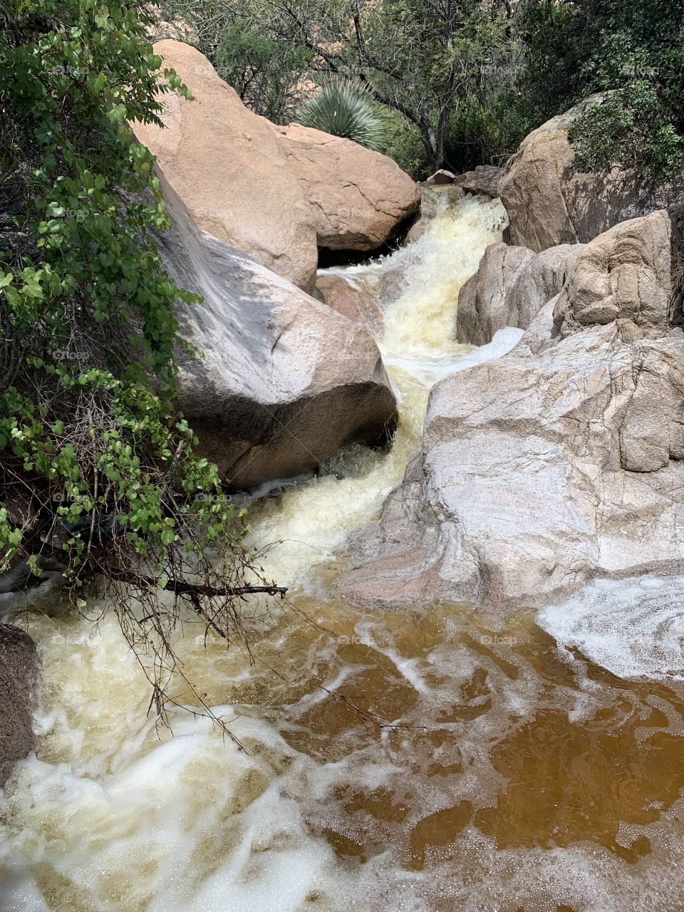Foam, water, waves, minerals in the monsoons 