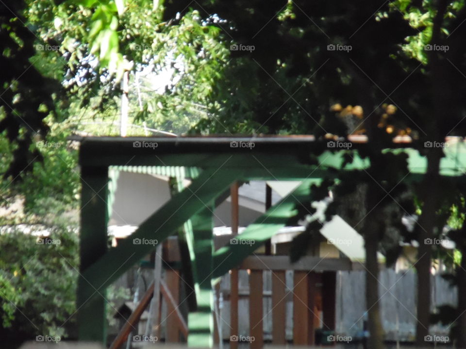 squirrel running 🏃 🔥 💨. I saw this squirrel on top of this swing set but he was hauling ass