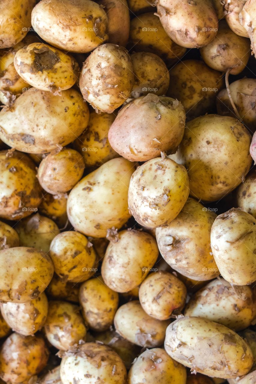 Close-up of potatoes