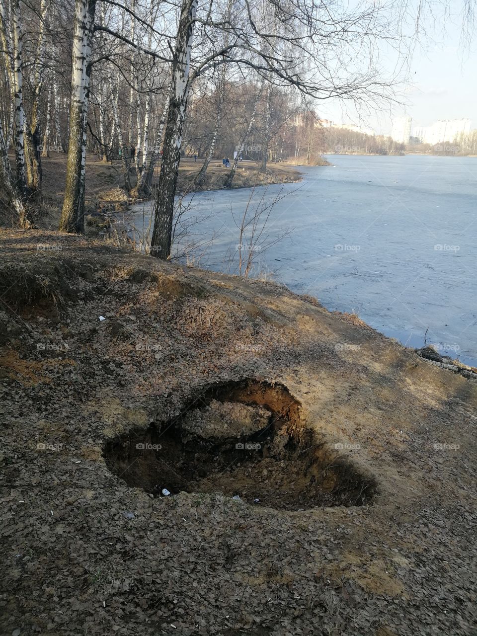 Heart of nature by the river