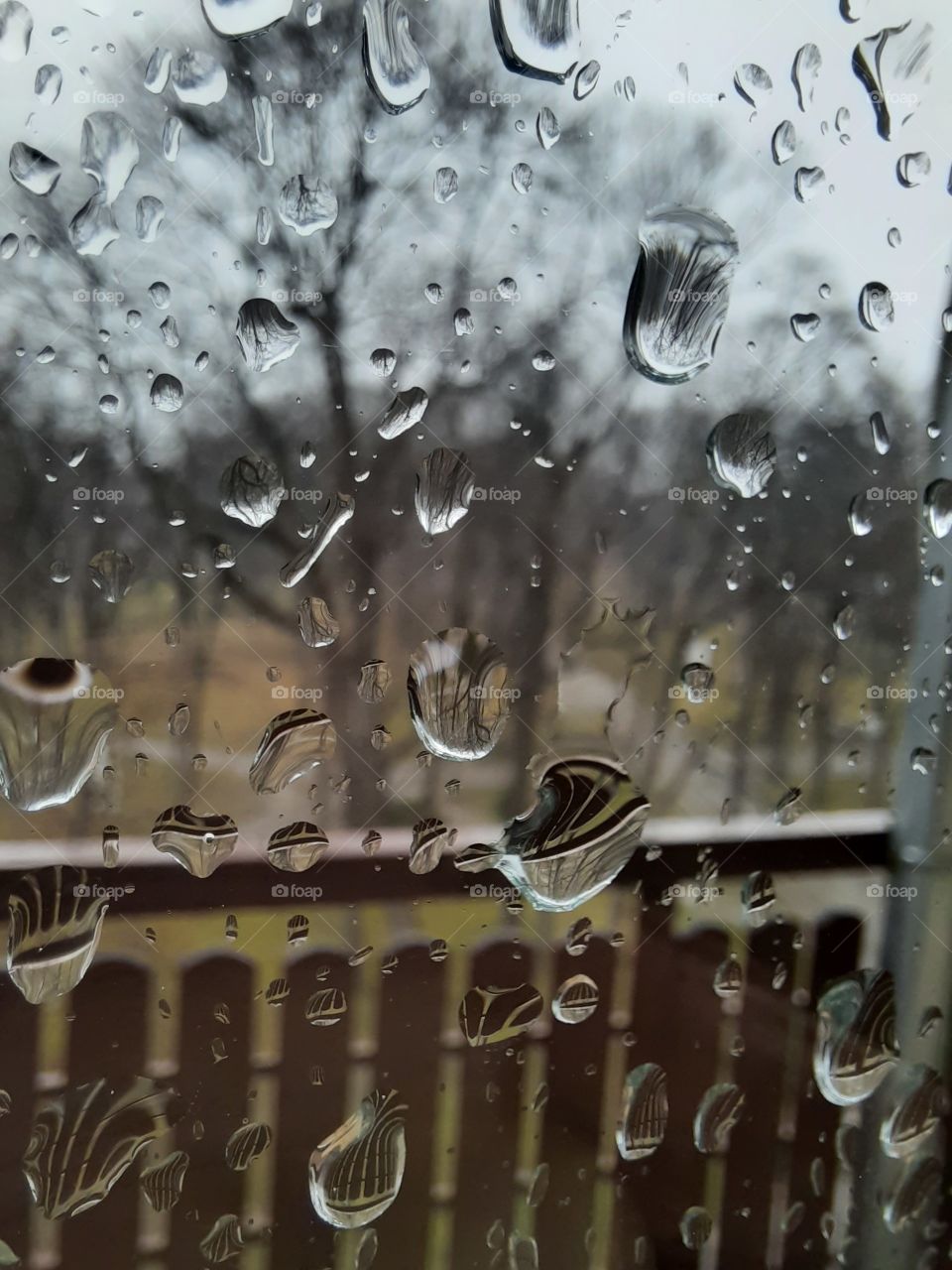 Drops. Rain. Day. Window.
