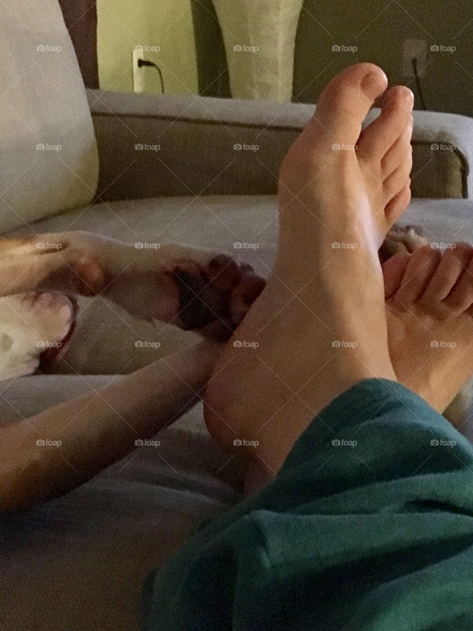 Unconditional love foot to paw 🐾