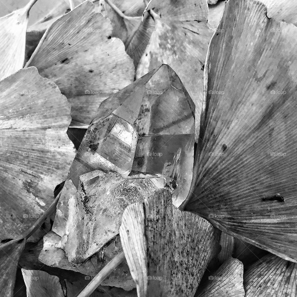 Well just like the combo of some green fluff rotting away while another carbon structure remains seemingly infinitely...