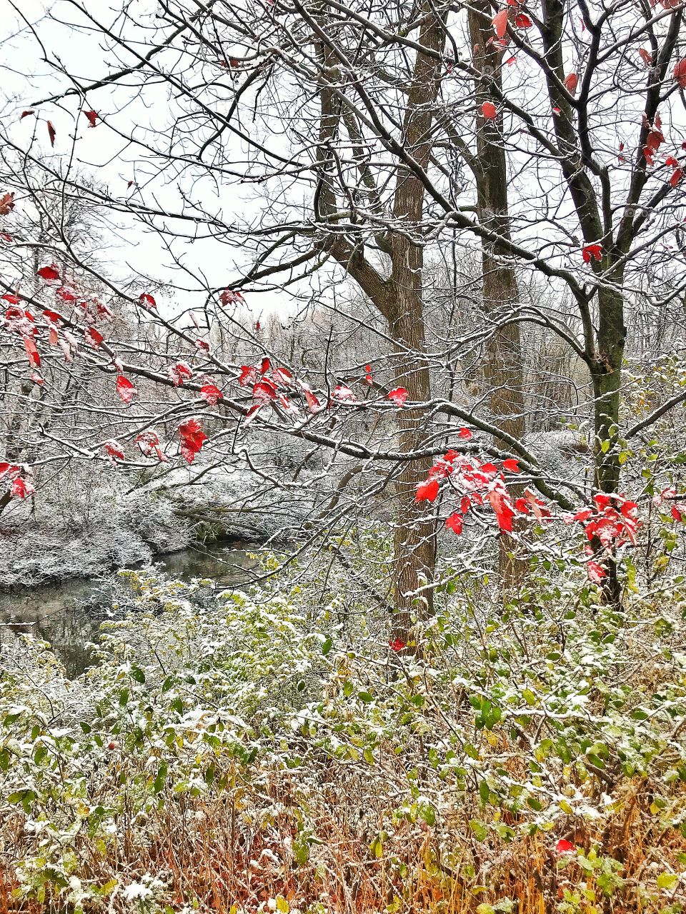 First snow