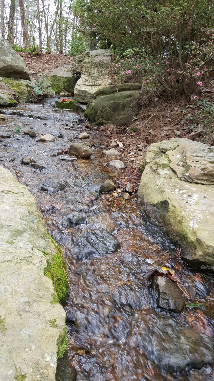 water cooled Brook stream rocks field fishing