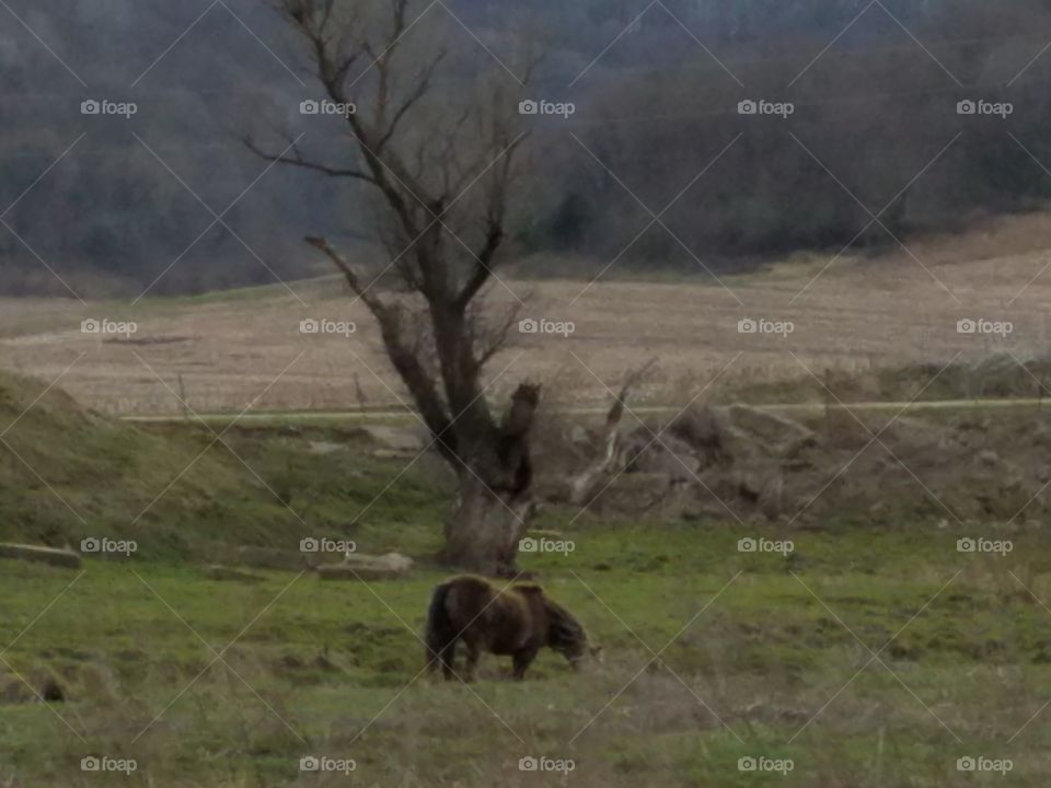 Driving the back Roads and enjoying everything around us