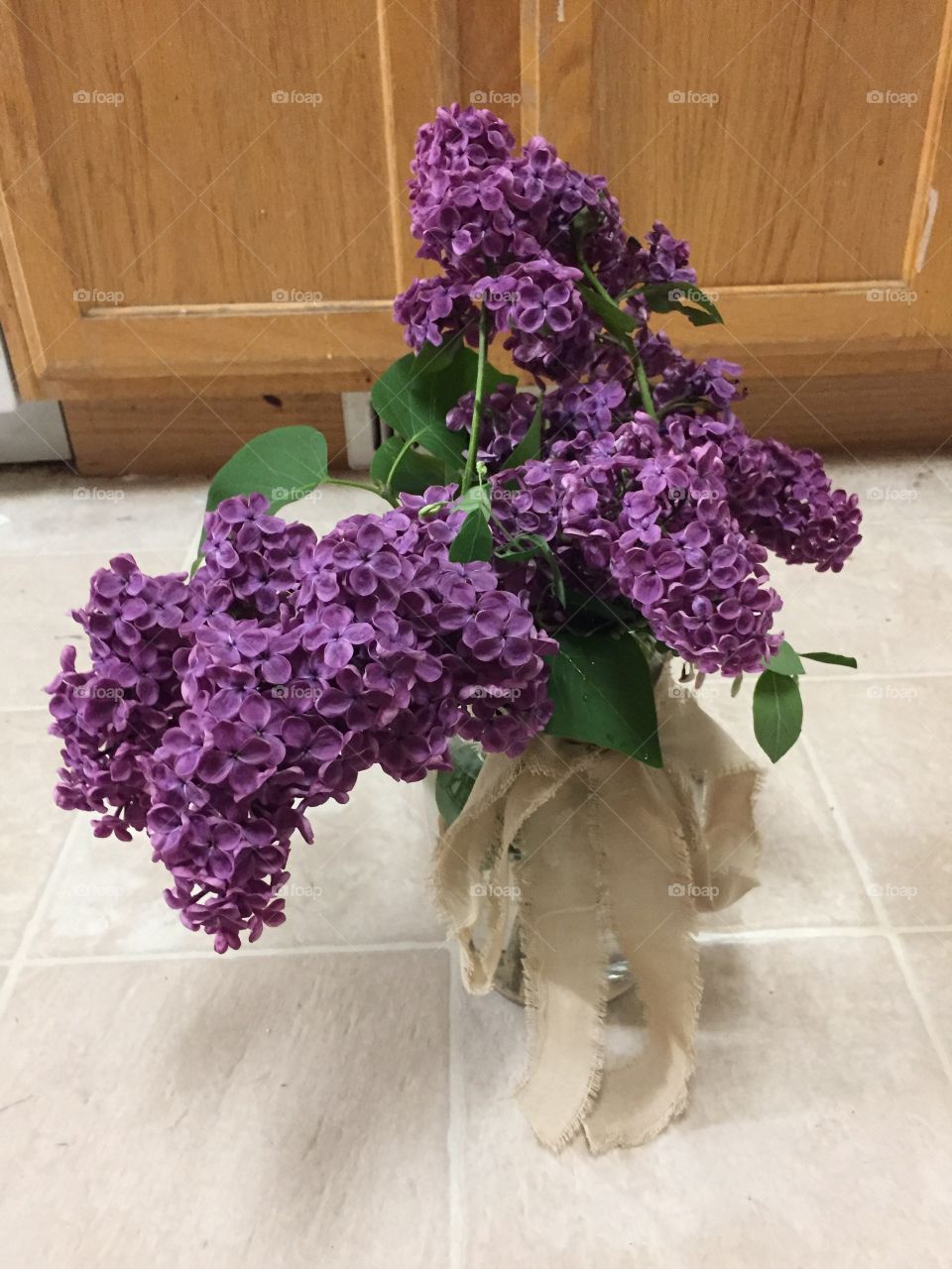 Butterfly Shaped Lilac Flowers. @chelseamerkleyphotos Copyright © CM Photography May 2019.