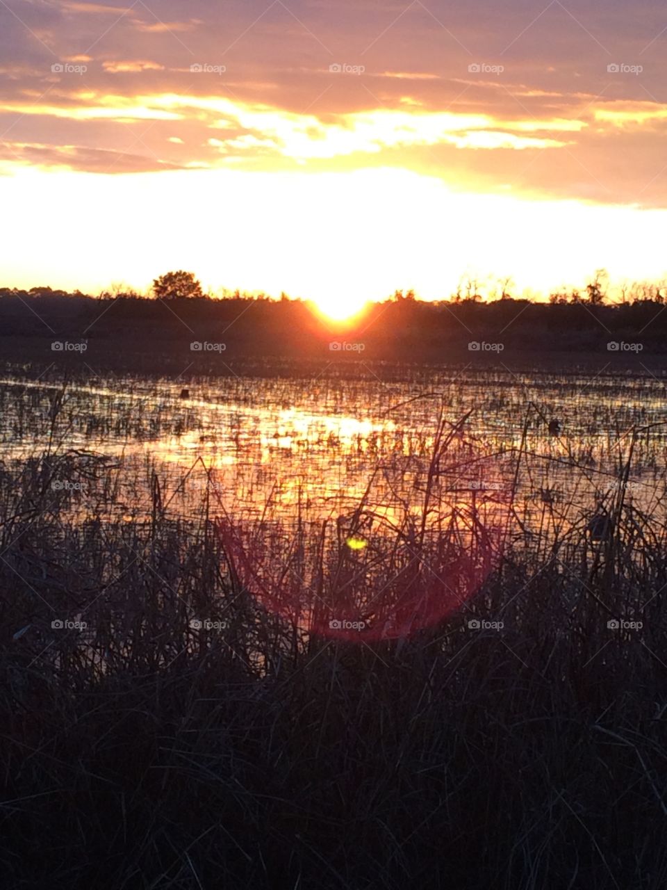 Sunrise over south Louisiana crawfish pond